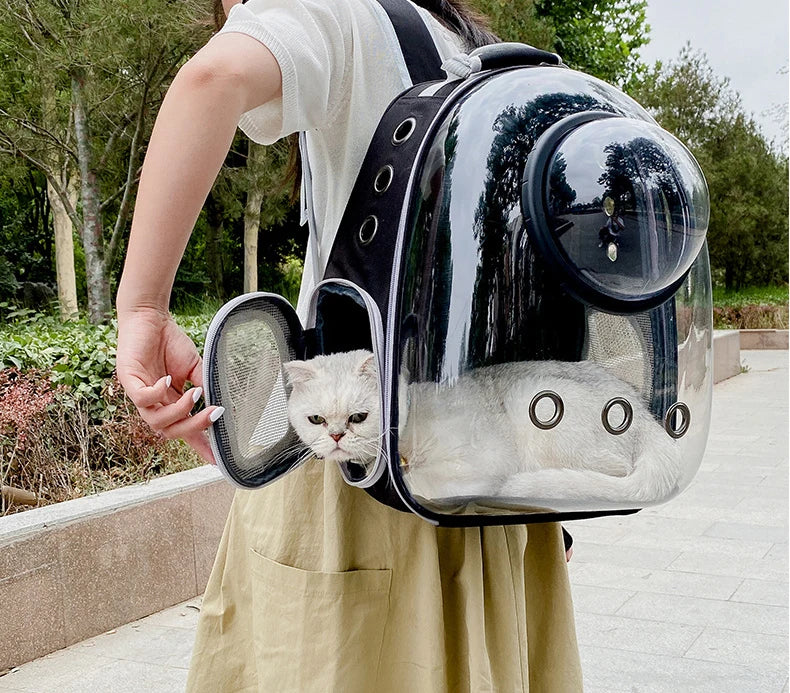 Cat Backpacks