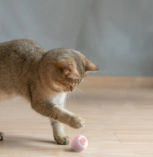 Electric Spin Ball Toy