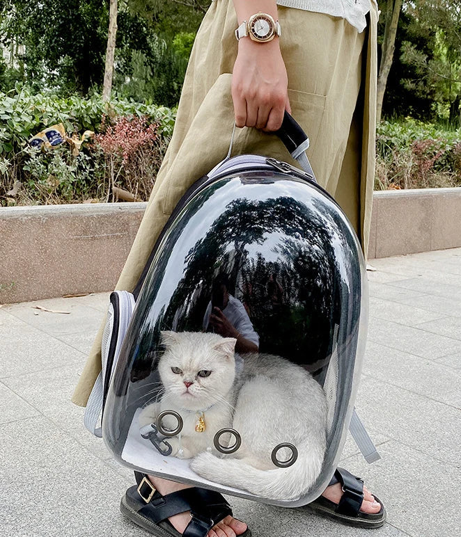 Cat Backpacks