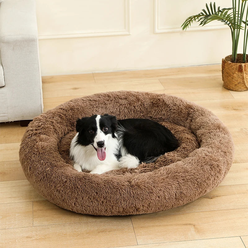 Soft Dog Beds