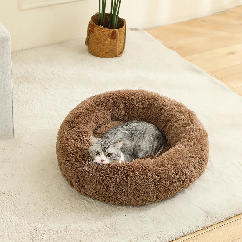 Soft Dog Beds