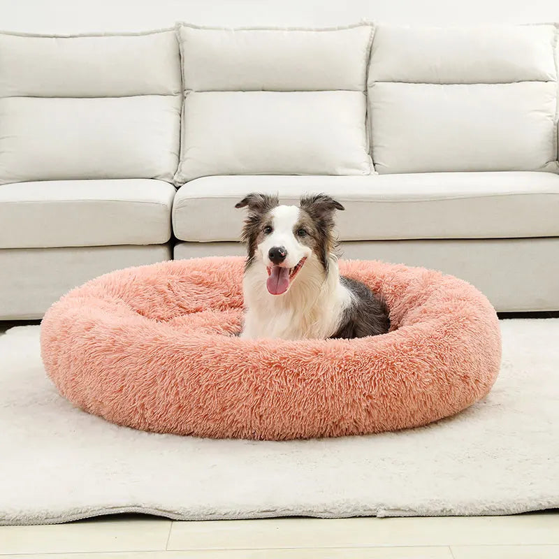 Soft Dog Beds