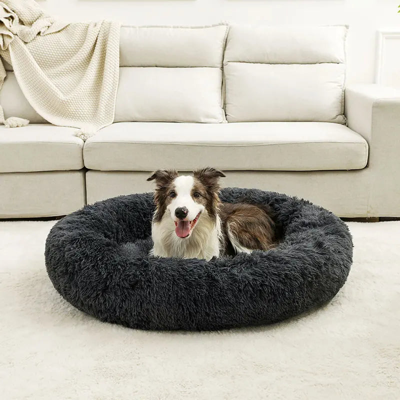 Soft Dog Beds