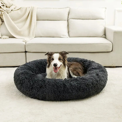 Soft Dog Beds