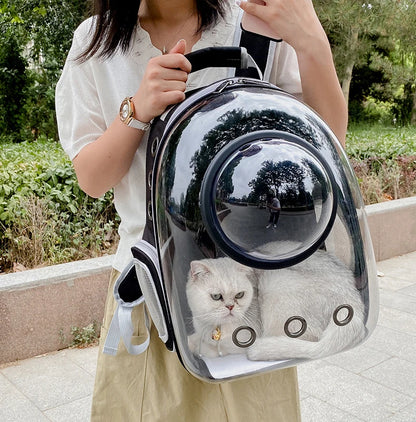 Cat Backpacks