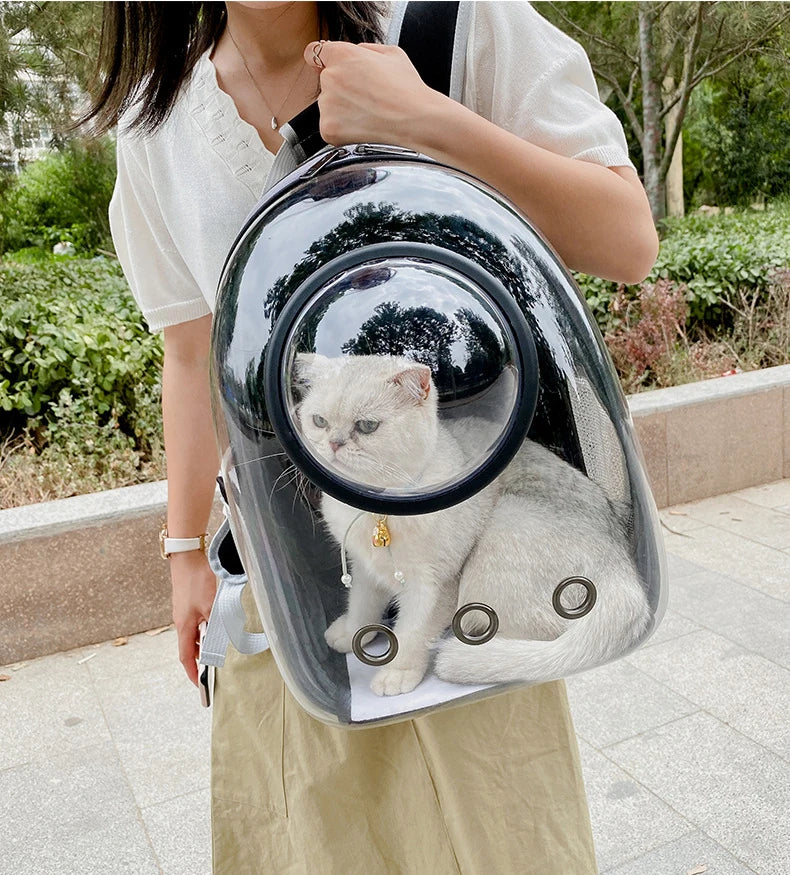 Cat Backpacks