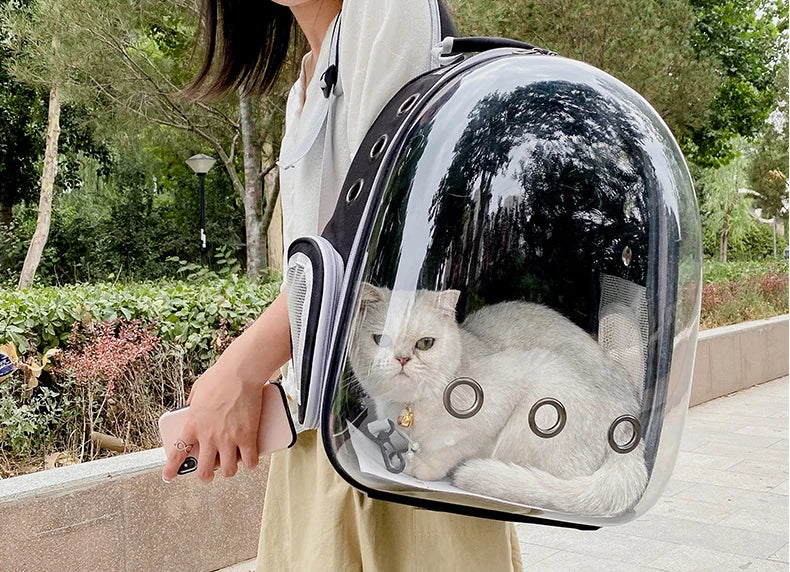 Cat Backpacks