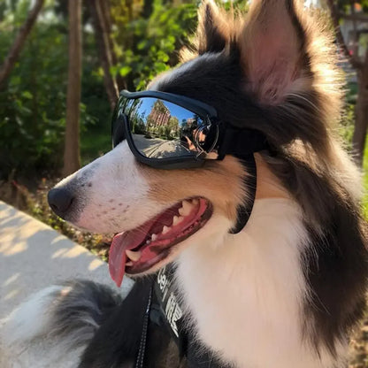 PassengerShop™ Dog Sunglasses