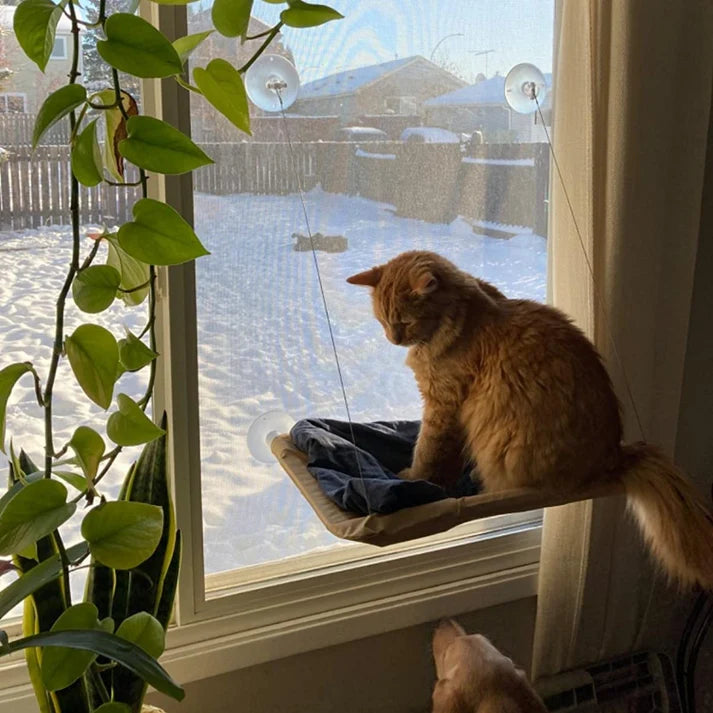 PassengerShop™ Indoor Cat Hammock