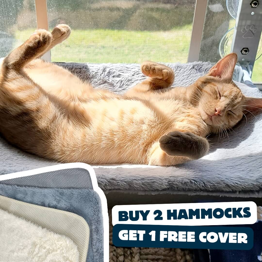 PassengerShop™ Foldable Cat Hammock